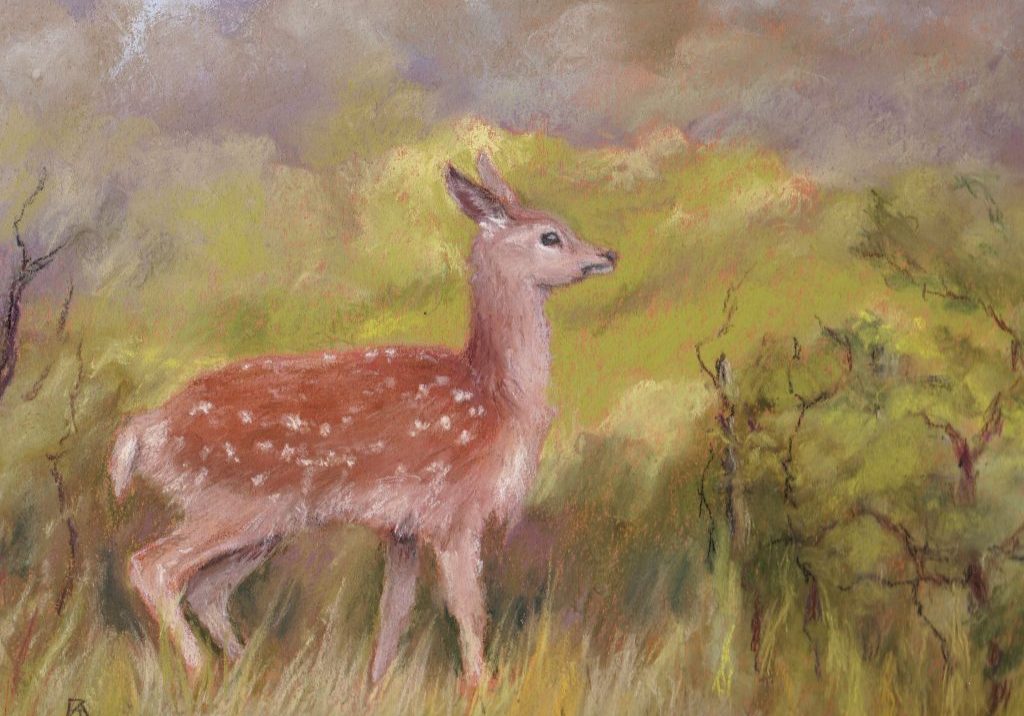 Fawn in the thicket pastel copy
