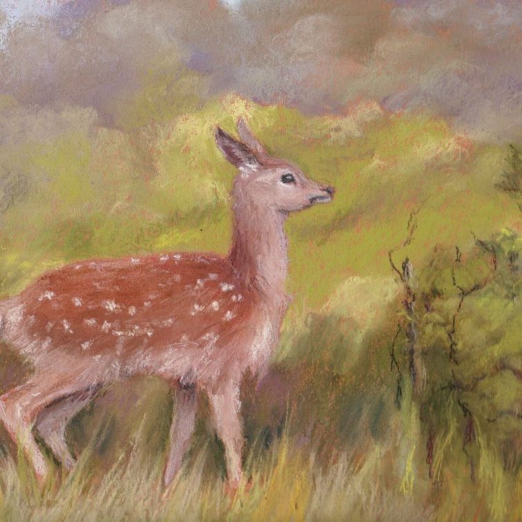 Fawn in the thicket pastel copy