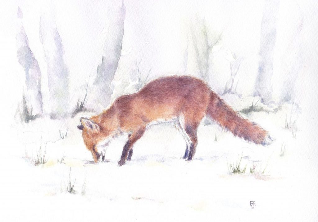 Fox in snowy garden2 copy