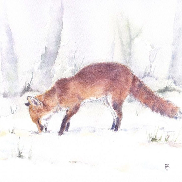 Fox in snowy garden2 copy