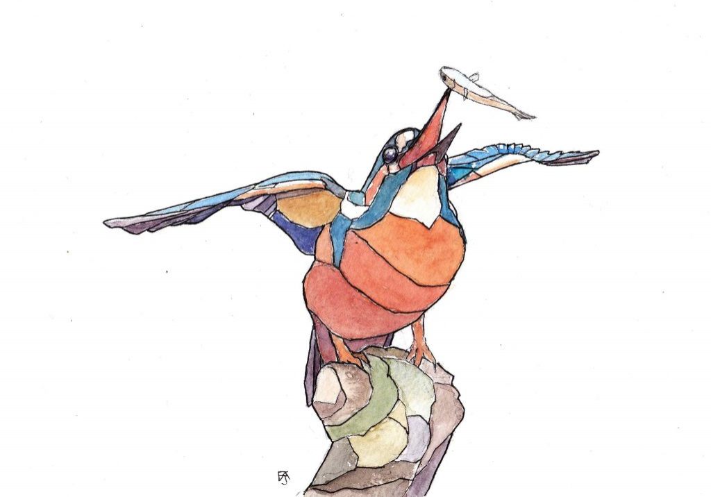 Geometric kingfisher copy