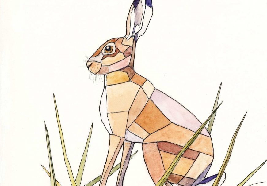 Stained glass hare F A Jackson